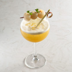 Dreamers_Simple-tra-vai